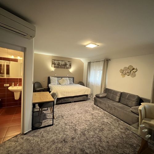Apartament deluxe cu 1 camera pentru 4 pers.