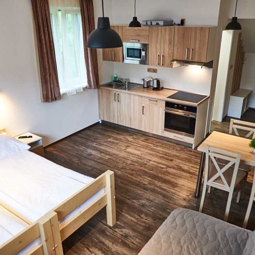 Apartament 2-osobowy Studio z prysznicem (możliwa dostawka)