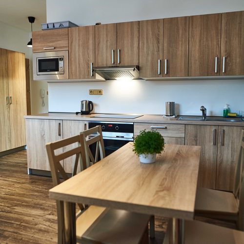 Apartament 2-osobowy Studio z prysznicem (możliwa dostawka)