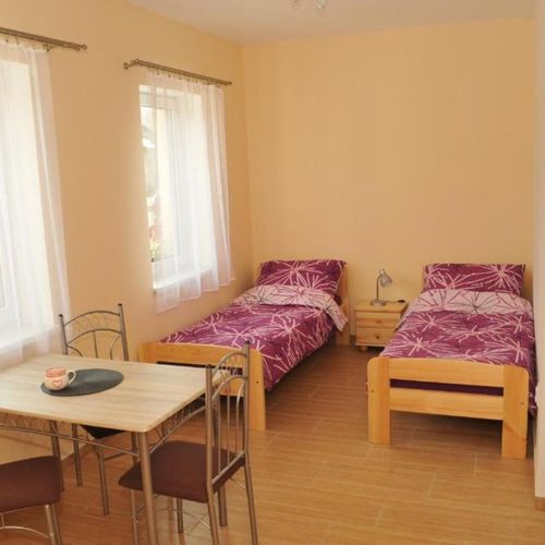 Apartament cu duș cu chicinetă proprie cu 1 camera pentru 2 pers. (se poate solicita pat suplimentar)