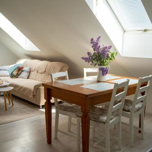 Apartman se sprchou s vlastní kuchyňkou s manželskou postelí s 1 ložnicí (s možností přistýlky)