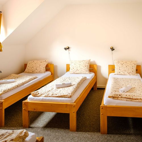 Apartament cu duș cu chicinetă proprie cu 1 camera pentru 4 pers. (se poate solicita pat suplimentar)