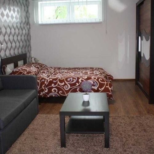 Apartament cu duș cu chicinetă proprie cu 1 camera pentru 4 pers.