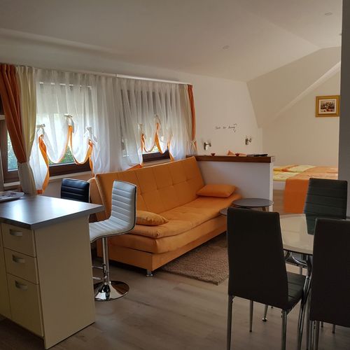 Apartament studio la mansardă cu 1 camera pentru 2 pers. (se poate solicita pat suplimentar)