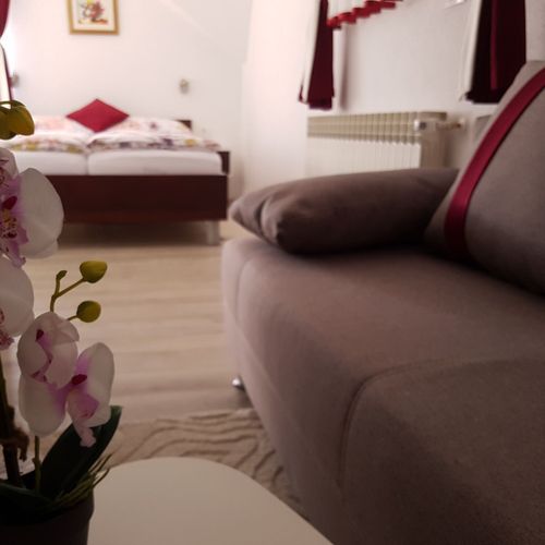 Apartament la mansardă cu vedere spre munte cu 1 camera pentru 2 pers. (se poate solicita pat suplimentar)