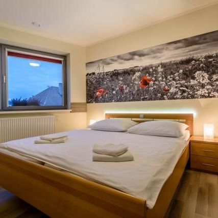 Apartament king cu duș cu 3 camere pentru 5 pers.