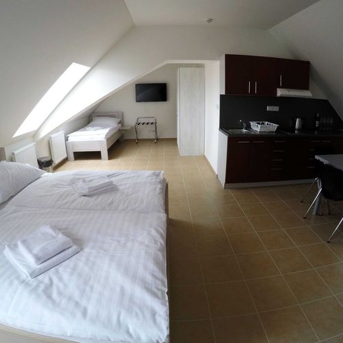 Apartament cu duș cu chicinetă proprie cu 1 camera pentru 3 pers.