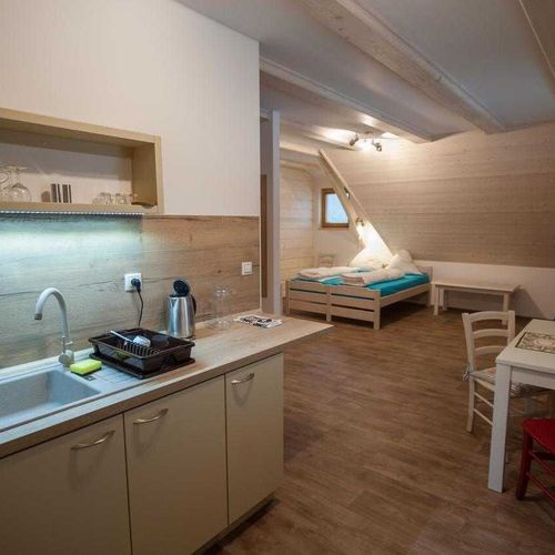 Apartament cu duș cu chicinetă proprie cu 1 camera pentru 4 pers.