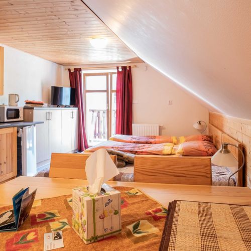 Apartman s balkónem pro 4 os. se 2 ložnicemi s výhledem na sjezdovku (s možností přistýlky)