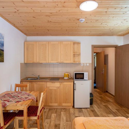 Apartman s balkónem s manželskou postelí s 1 ložnicí s výhledem na sjezdovku