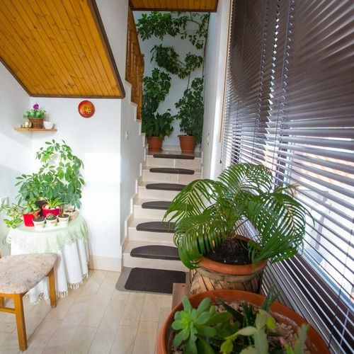 Apartament 5-osobowy z tarasem z widokiem na morze z 2 pomieszczeniami sypialnianymi