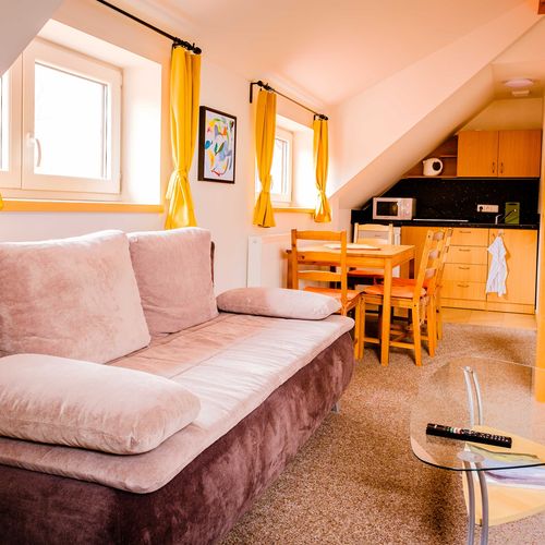 Apartament cu duș cu chicinetă proprie cu 1 camera pentru 3 pers. (se poate solicita pat suplimentar)