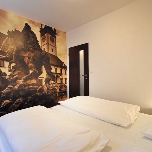 Apartament cu duș cu chicinetă proprie cu 2 camere pentru 3 pers.
