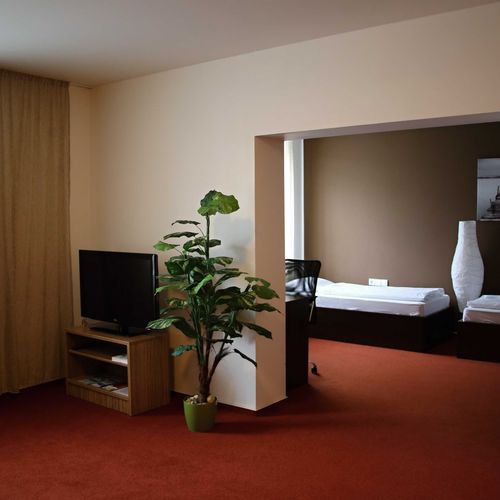 Apartament cu duș cu chicinetă proprie cu 1 camera pentru 4 pers. (se poate solicita pat suplimentar)