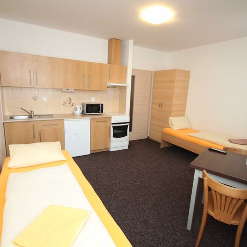 Apartament cu 1 camera pentru 2 pers. (se poate solicita pat suplimentar)