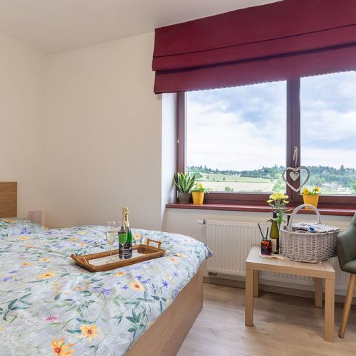 Deluxe Apartman tV s plochou obrazovkou s manželskou postelí s 1 ložnicí (s možností přistýlky)