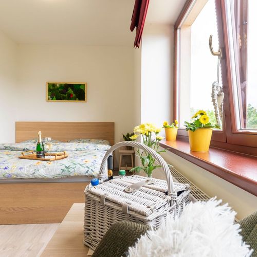 Deluxe Apartman tV s plochou obrazovkou s manželskou postelí s 1 ložnicí (s možností přistýlky)