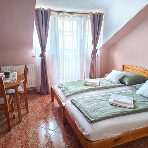Camera twin studio accesibil(ă) persoanelor cu dizabilități