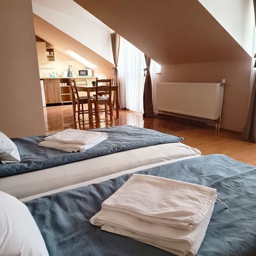 Apartament classic la mansardă cu 1 camera pentru 2 pers. (se poate solicita pat suplimentar)
