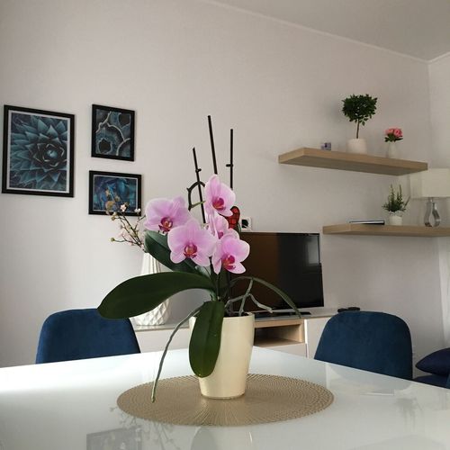 Apartament 4-osobowy Premia Deluxe z 2 pomieszczeniami sypialnianymi