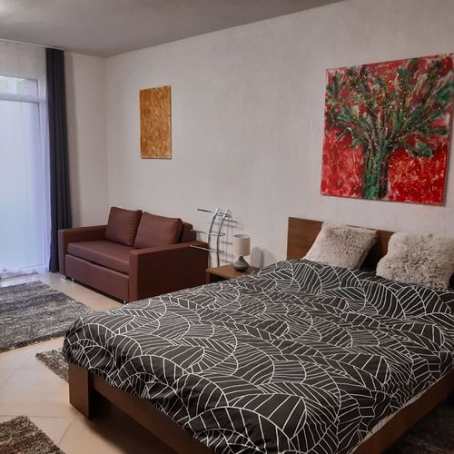 Apartament queen la parter cu 1 camera pentru 2 pers. (se poate solicita pat suplimentar)