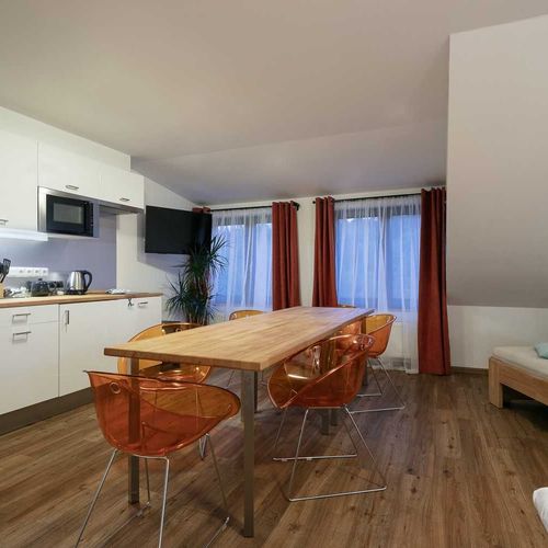 Apartament cu duș cu chicinetă proprie cu 2 camere pentru 4 pers. (se poate solicita pat suplimentar)
