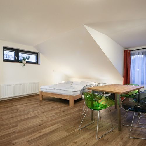 Apartament cu duș cu chicinetă proprie cu 1 camera pentru 3 pers. (se poate solicita pat suplimentar)
