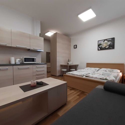 Apartament 2-osobowy z prysznicem z aneksem kuchennym (możliwa dostawka)