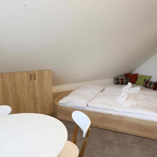 Apartament cu duș cu chicinetă proprie cu 1 camera pentru 2 pers.