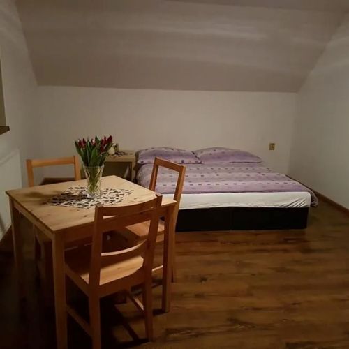 Camera tripla cu baie cu chicinetă proprie (se poate solicita pat suplimentar)
