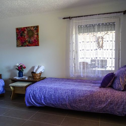 Apartament 2-osobowy na parterze "C" z 1 pomieszczeniem sypialnianym