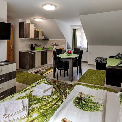 Apartament studio la mansardă cu 1 camera pentru 2 pers.