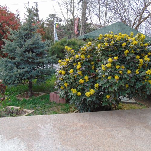 Camera dubla la etaj cu balcon