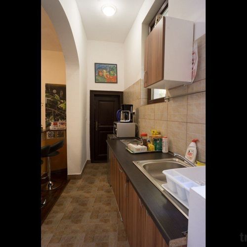 Apartament deluxe cu grădină cu 1 camera pentru 4 pers. (se poate solicita pat suplimentar)