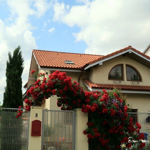 Vilă cu grădină pentru 10 pers. (se inchirieaza doar integral)