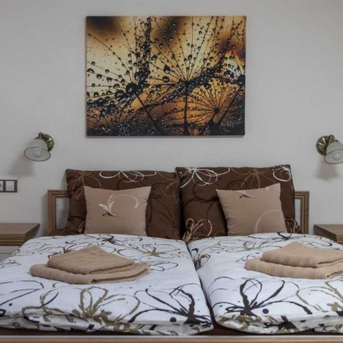 Apartman se sprchou s vlastní kuchyňkou s manželskou postelí s 1 ložnicí (s možností přistýlky)