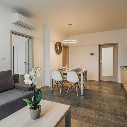 Apartman se sprchou s vlastní kuchyňkou s manželskou postelí s 1 ložnicí (s možností přistýlky)