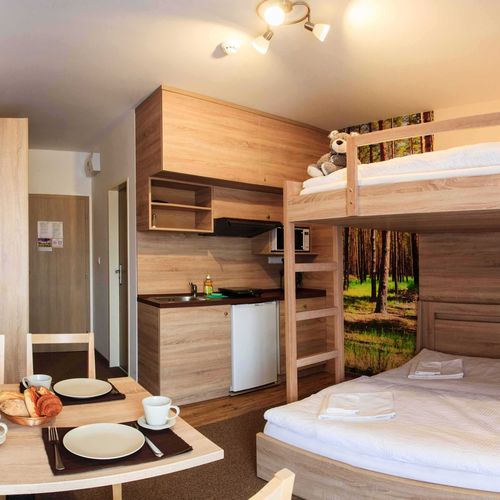 Apartament 4-osobowy Economy Studio z 1 pomieszczeniem sypialnianym