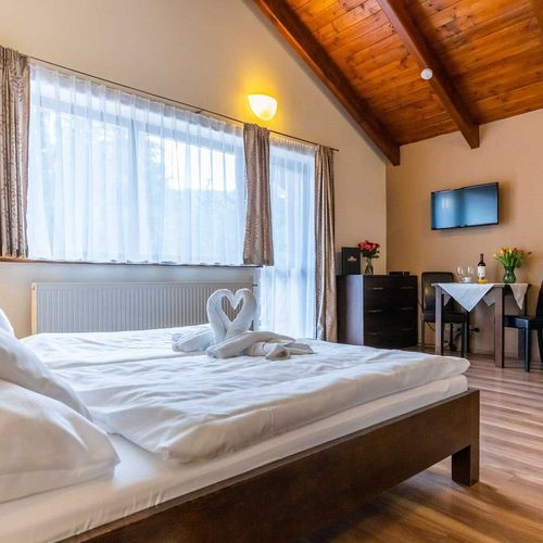 Apartament 2-osobowy Deluxe z prysznicem