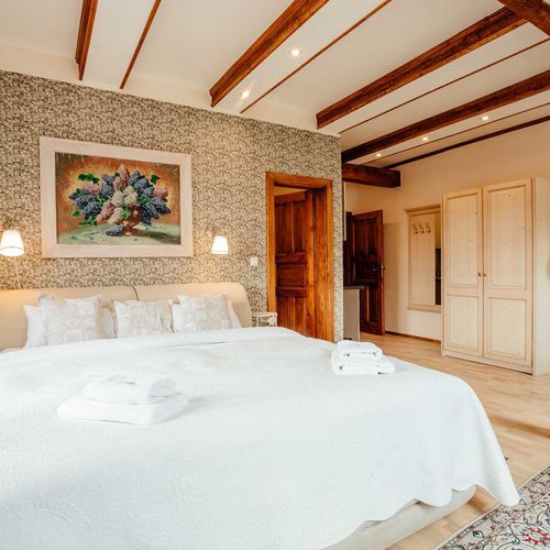 Queen Pokoj s vlastní kuchyňkou pro 2 os.