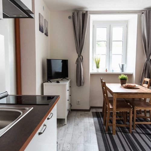 Apartman se sprchou s vlastní kuchyňkou s manželskou postelí s 1 ložnicí (s možností přistýlky)