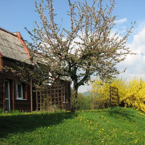 Bungalow familial(ă) cu baie pentru 4 pers. (se inchirieaza doar integral)