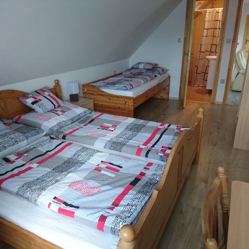 Pokój 3-osobowy z łazienką z widokiem na góry