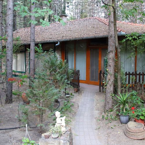 Apartament romantică cu vedere spre pădure pentru 4 pers. (se inchirieaza doar integral) (se poate solicita pat suplimentar)