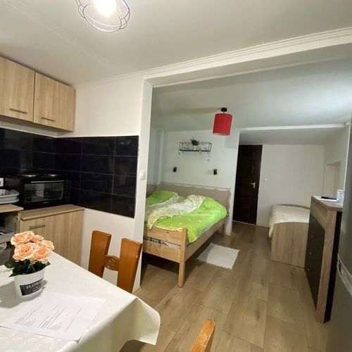 Apartament studio cu bucătărie proprie cu 1 camera pentru 3 pers.