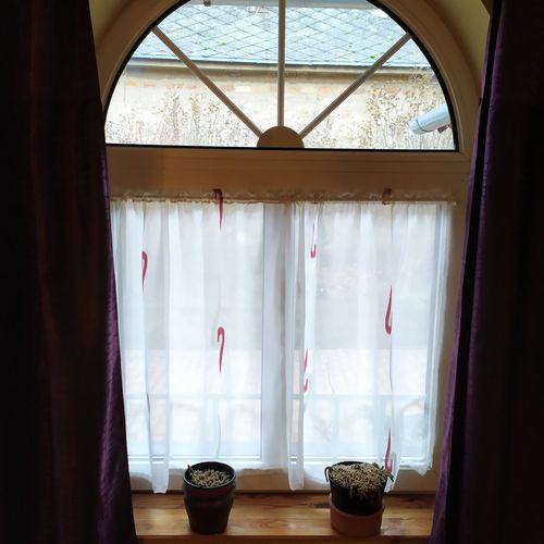 Apartament 4-osobowy na parterze z 1 pomieszczeniem sypialnianym