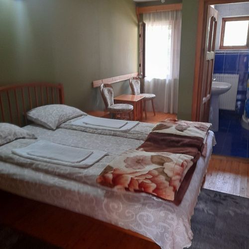 Camera dubla cu vedere spre grădină