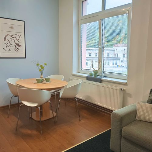 Apartament 4-osobowy z aneksem kuchennym z 1 pomieszczeniem sypialnianym