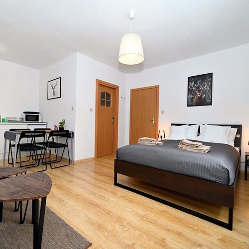 Camera cvadrupla studio cu chicinetă proprie