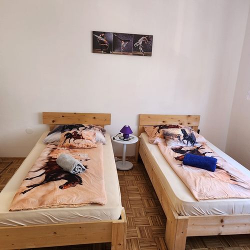 Apartament family cu cadă cu 2 camere pentru 4 pers.
